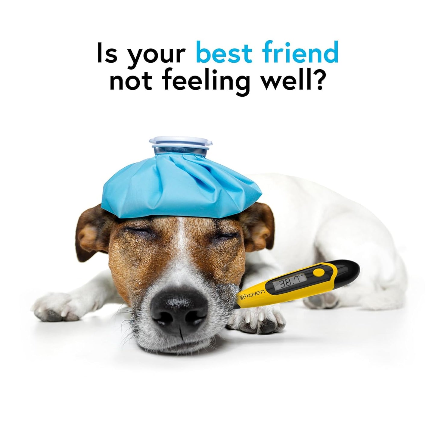Iproven Dog & Cat Thermometer for Accurate Fever Detection, Comfortable Flexible Tip, Waterproof Pet Thermometer, Fast Readings in 20 Sec, Whelping and Veterinary Supply, DTK-117Y