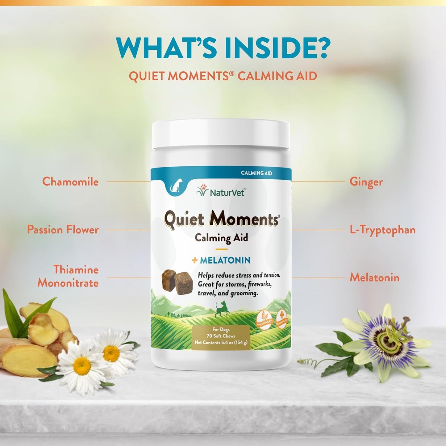 Quiet Moments Calming Dog Supplement, Dog Soft Chews with Melatonin to Help Reduce Stress from Storms, the Vet, Fireworks, and Travel, Bacon and Chicken Flavored Pet Supplement, 70 Count Jar