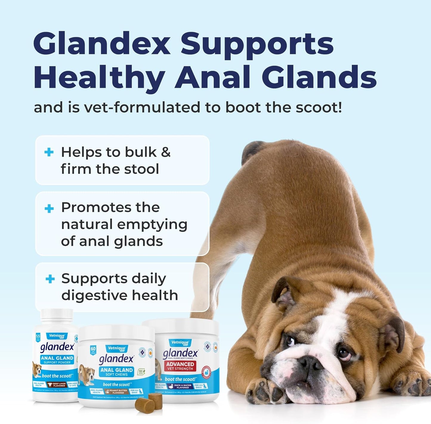 Labs Glandex Anal Gland Soft Chew Treats with Pumpkin for Dogs Digestive Enzymes, Probiotics Fiber Supplement for Dogs Boot the Scoot (Bacon/Pork Chews, 30 Count)