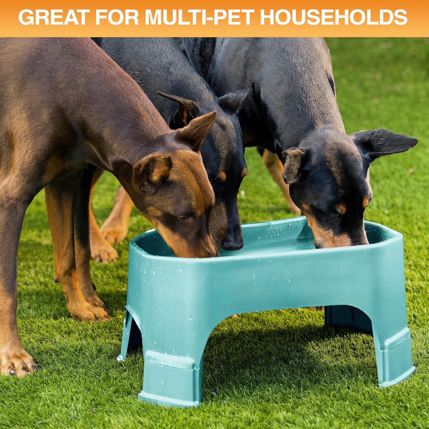 Extra Large Water Bowl for Dogs, Raised Outdoor Dog Water Bowl (2.25 Gallon XL Capacity), Big Trough Style Food Dish for Indoors or Outside, No Spill Large Dog Bowls, Aquamarine
