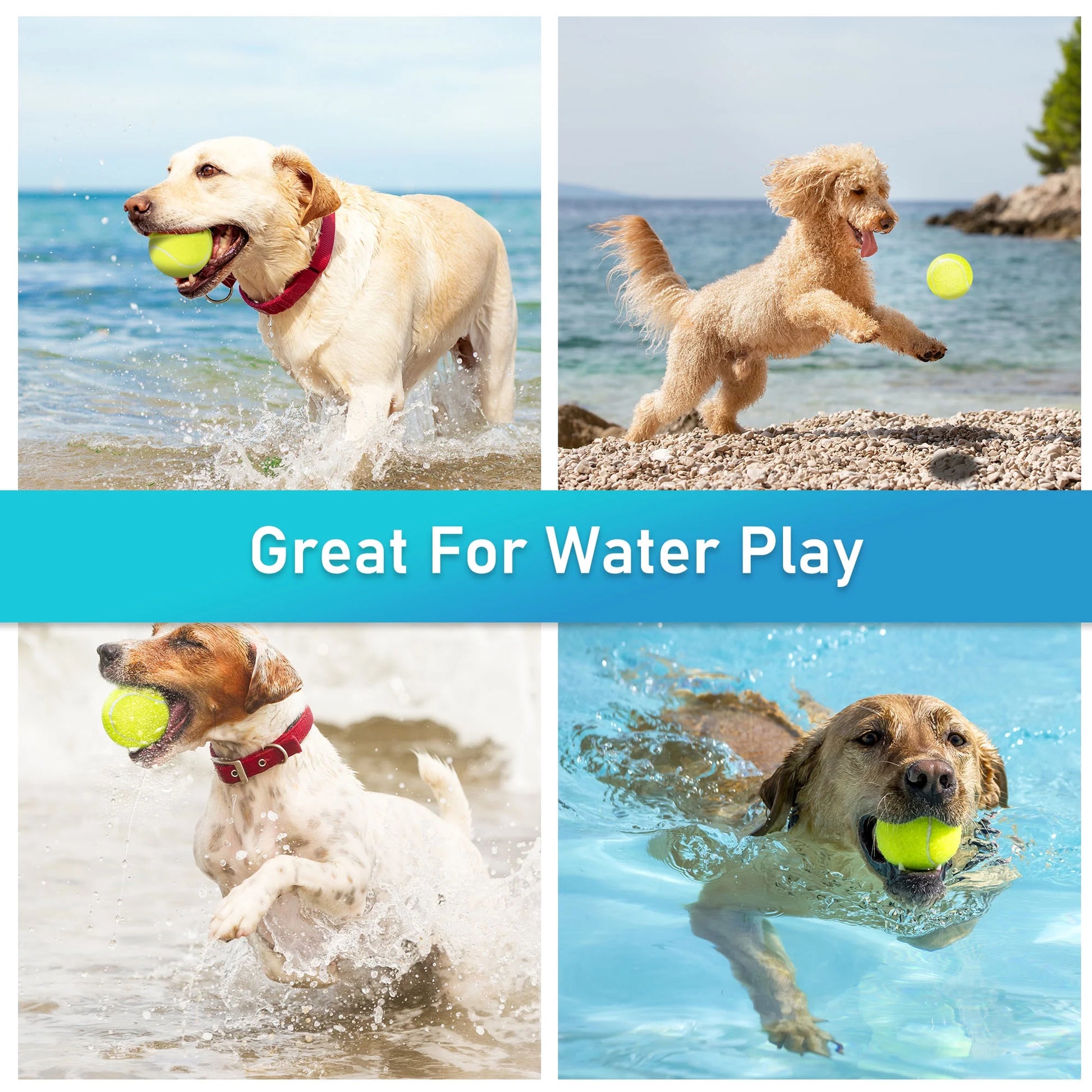 Tennis Balls for Dog, 3Pc High Elasticity Practice Tennis Ball for Pet Training, Fetching