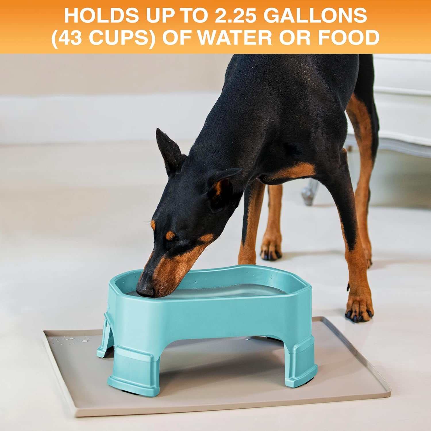 Extra Large Water Bowl for Dogs, Raised Outdoor Dog Water Bowl (2.25 Gallon XL Capacity), Big Trough Style Food Dish for Indoors or Outside, No Spill Large Dog Bowls, Aquamarine