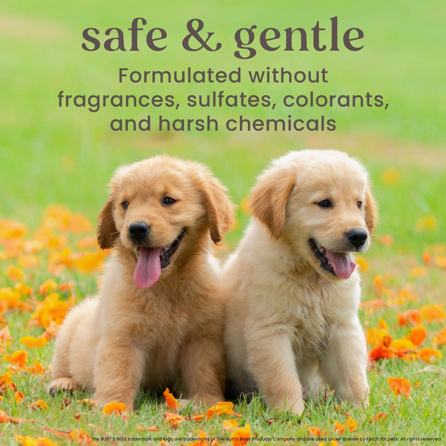 Natural Pet Care Dog and Puppy Anti-Itch Spray 10 Oz.
