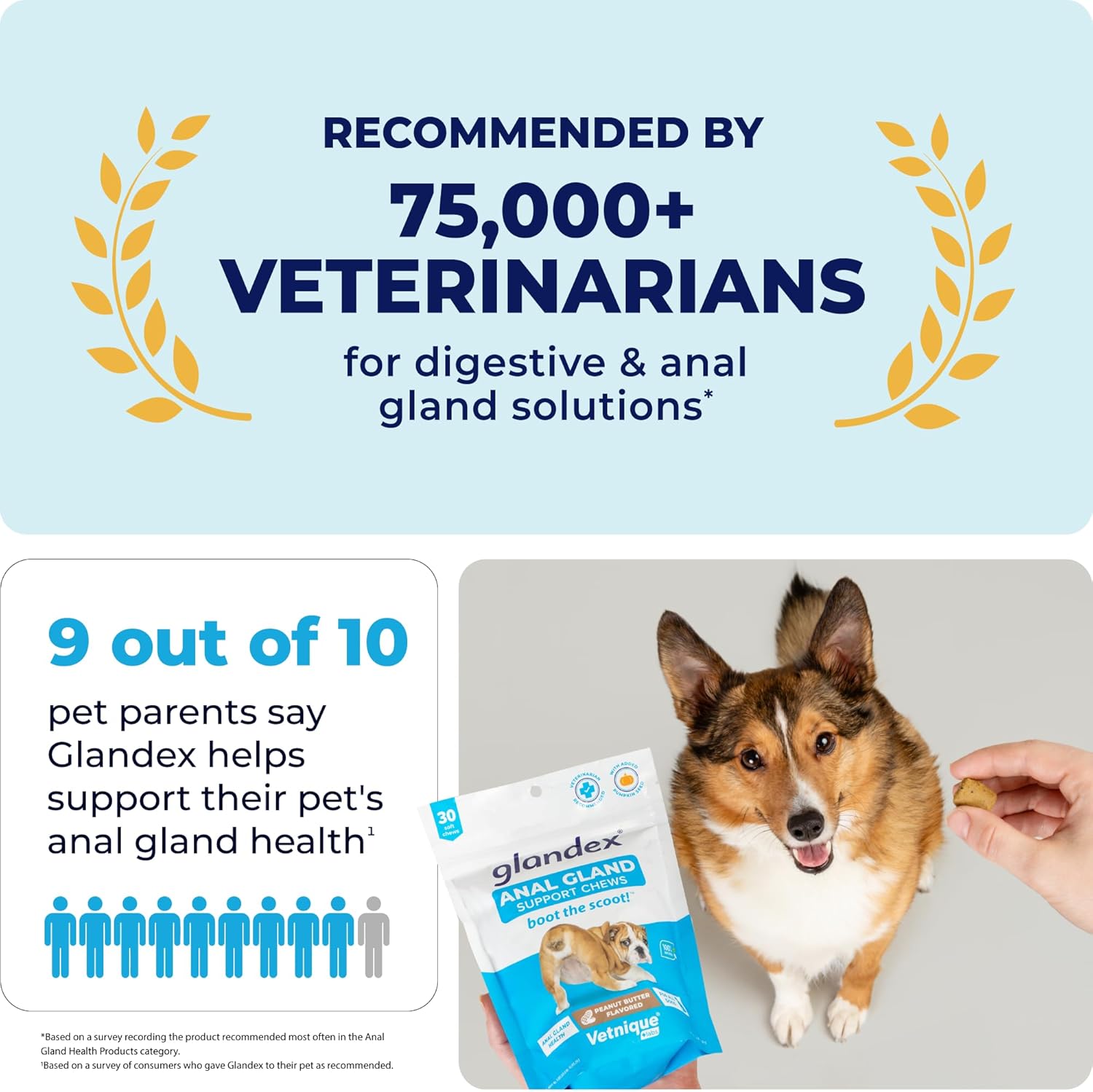 Labs Glandex Anal Gland Soft Chew Treats with Pumpkin for Dogs Digestive Enzymes, Probiotics Fiber Supplement for Dogs Boot the Scoot (Bacon/Pork Chews, 30 Count)