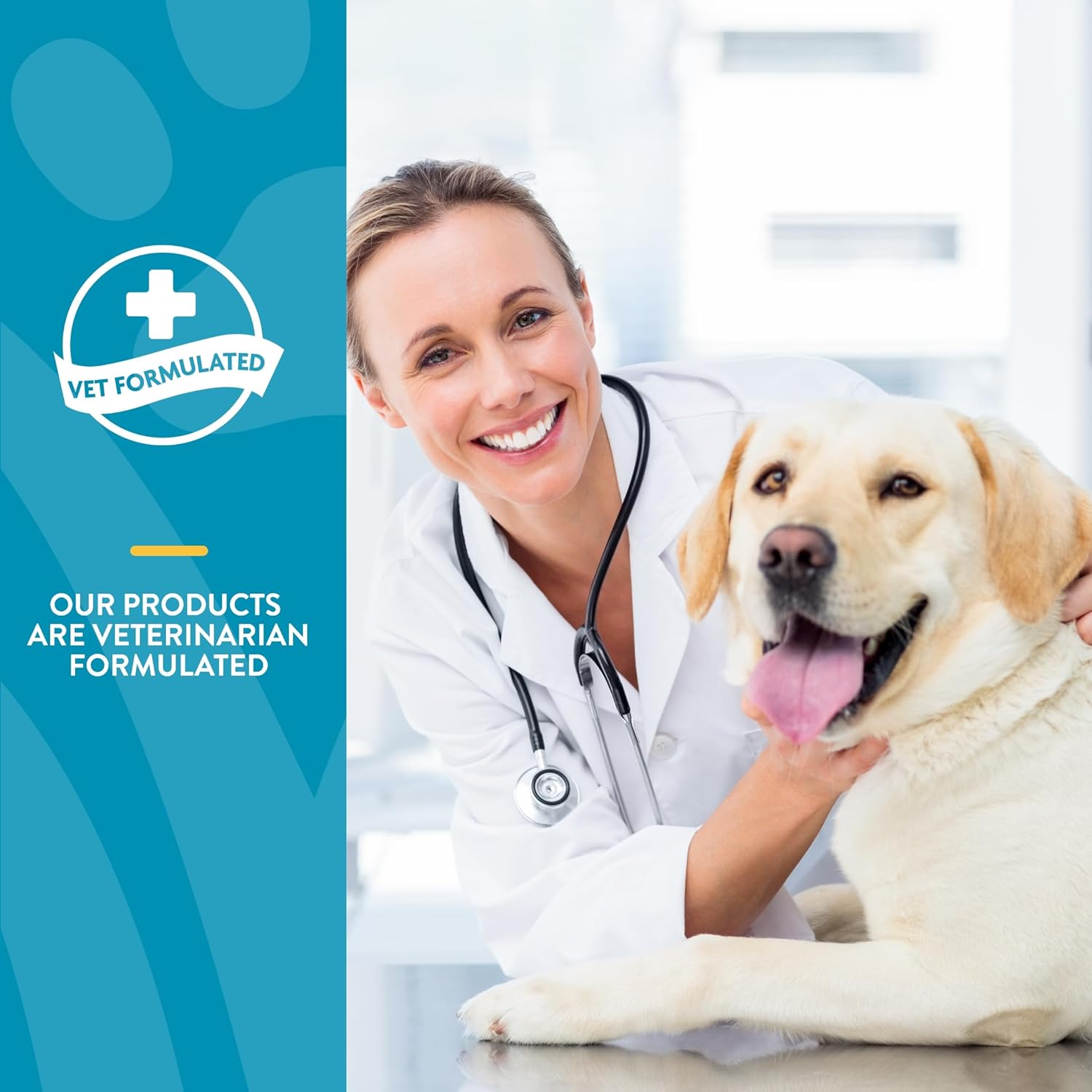 Quiet Moments Calming Dog Supplement, Dog Soft Chews with Melatonin to Help Reduce Stress from Storms, the Vet, Fireworks, and Travel, Bacon and Chicken Flavored Pet Supplement, 70 Count Jar