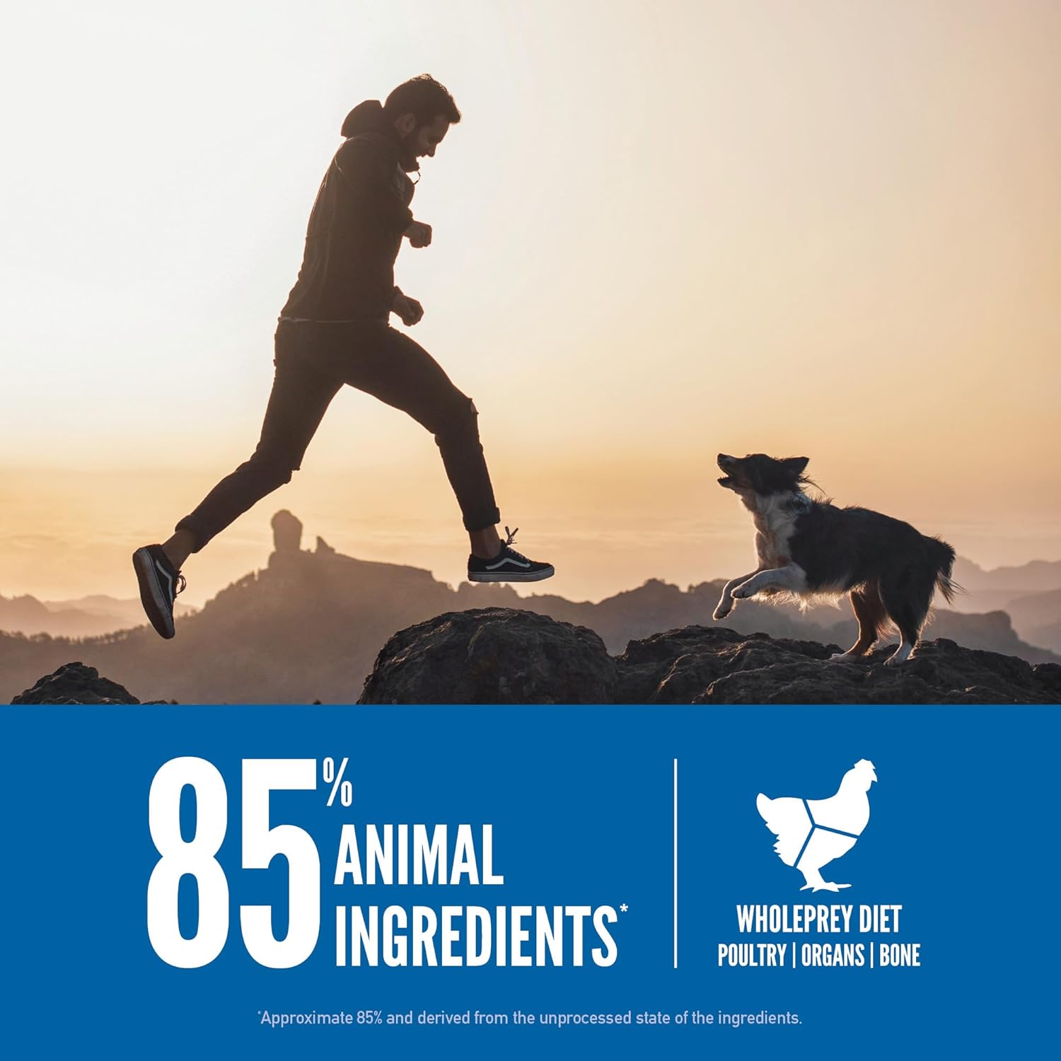 Grain Free High Protein Dry Dog Food Original Recipe 23.5Lb Bag