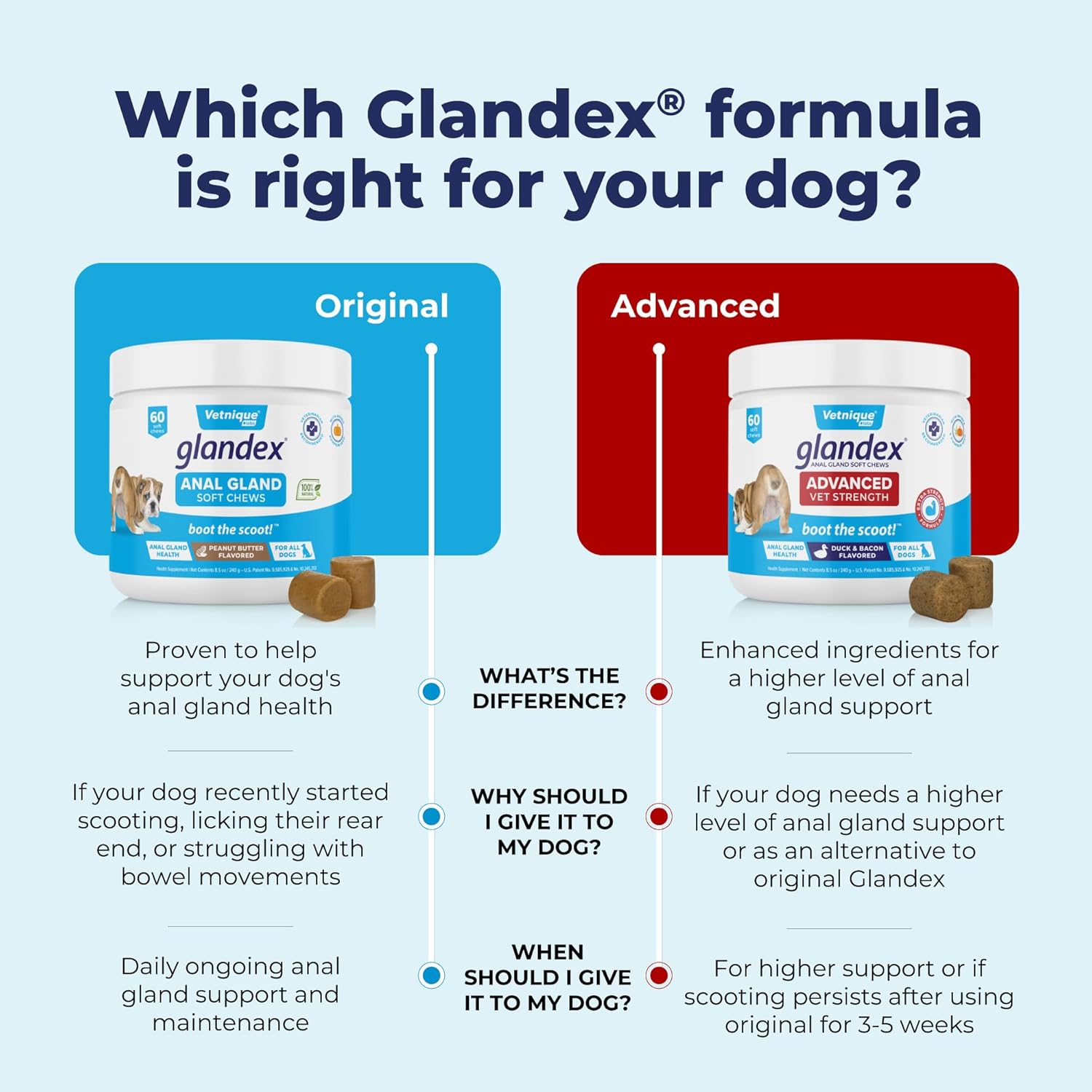 Labs Glandex Anal Gland Soft Chew Treats with Pumpkin for Dogs Digestive Enzymes, Probiotics Fiber Supplement for Dogs Boot the Scoot (Bacon/Pork Chews, 30 Count)