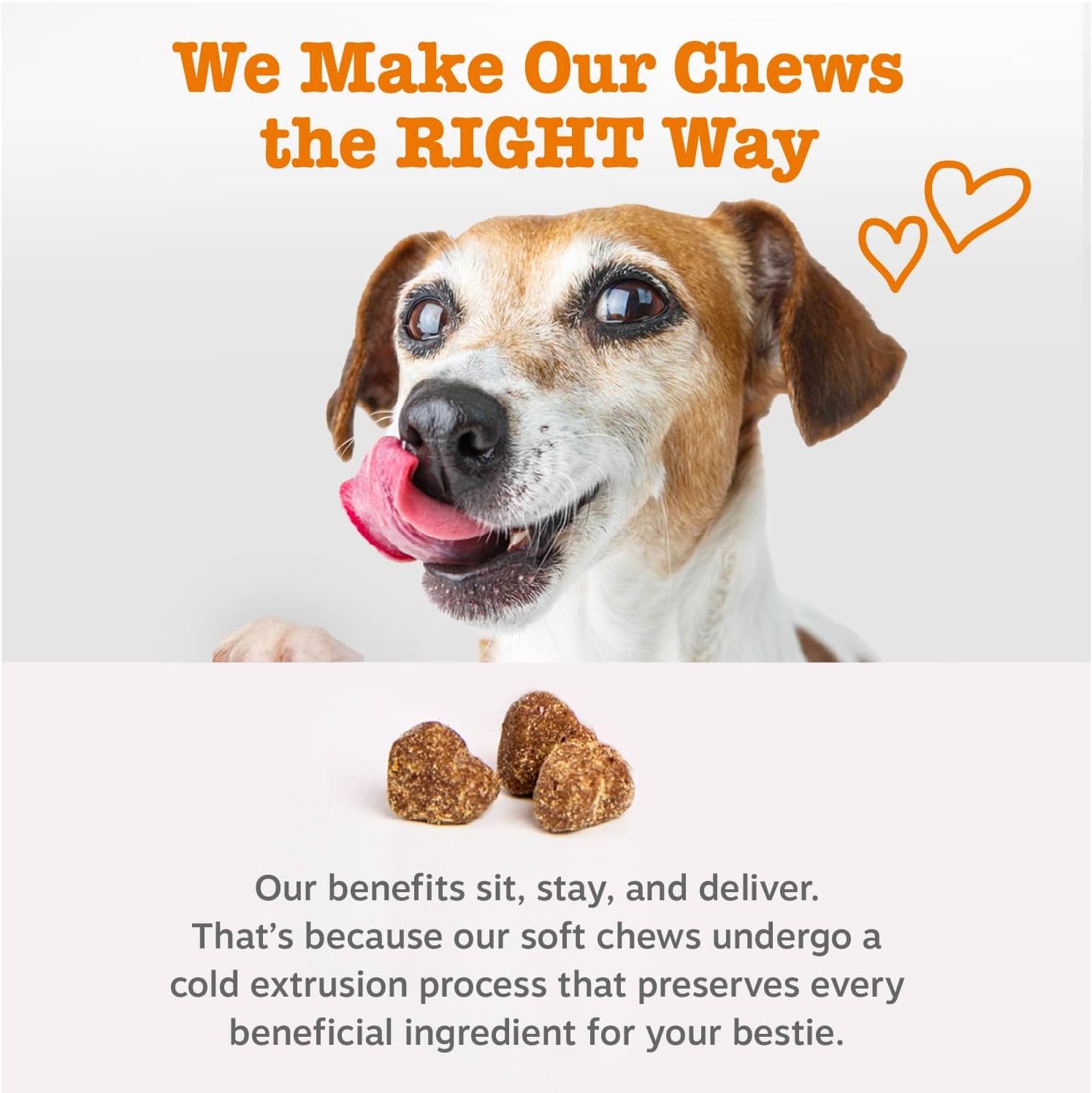 Dog Multivitamin, Chewable Dog Vitamins and Supplements for Hip & Joints, Skin & Coat, Omega 3 Fish Oil for Dogs- Senior & Puppy Multivitamin- Chicken- 90Ct