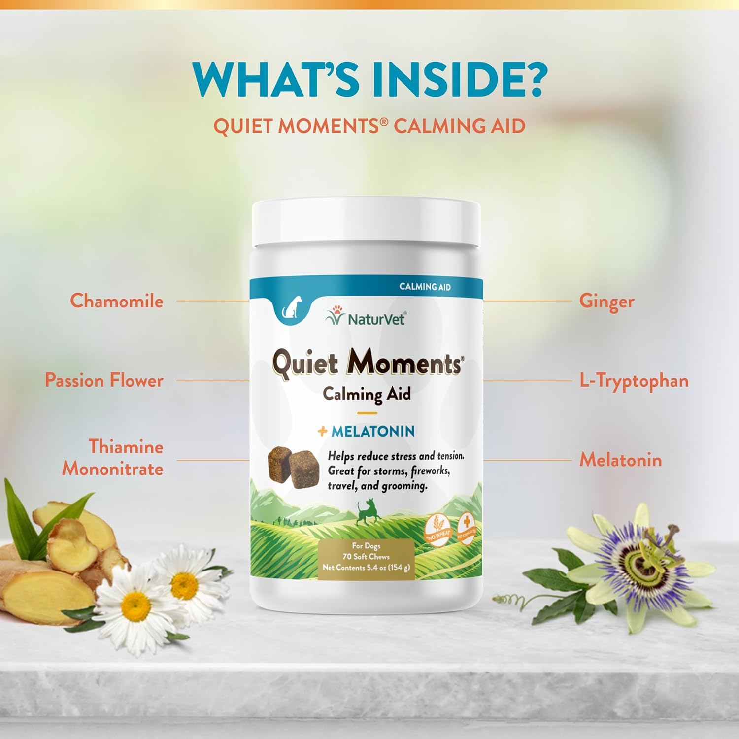 Quiet Moments Calming Dog Supplement, Dog Soft Chews with Melatonin to Help Reduce Stress from Storms, the Vet, Fireworks, and Travel, Bacon and Chicken Flavored Pet Supplement, 70 Count Jar