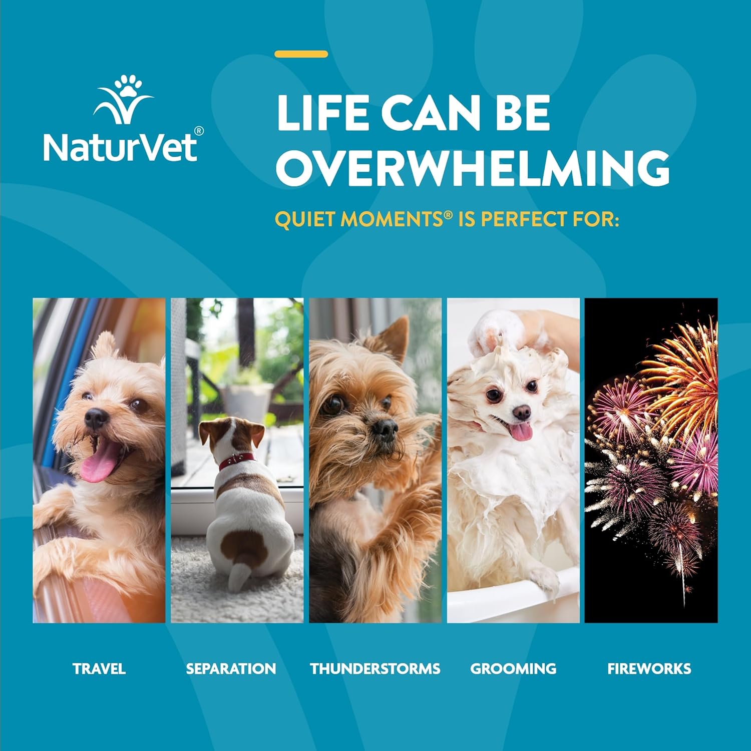 Quiet Moments Calming Dog Supplement, Dog Soft Chews with Melatonin to Help Reduce Stress from Storms, the Vet, Fireworks, and Travel, Bacon and Chicken Flavored Pet Supplement, 70 Count Jar