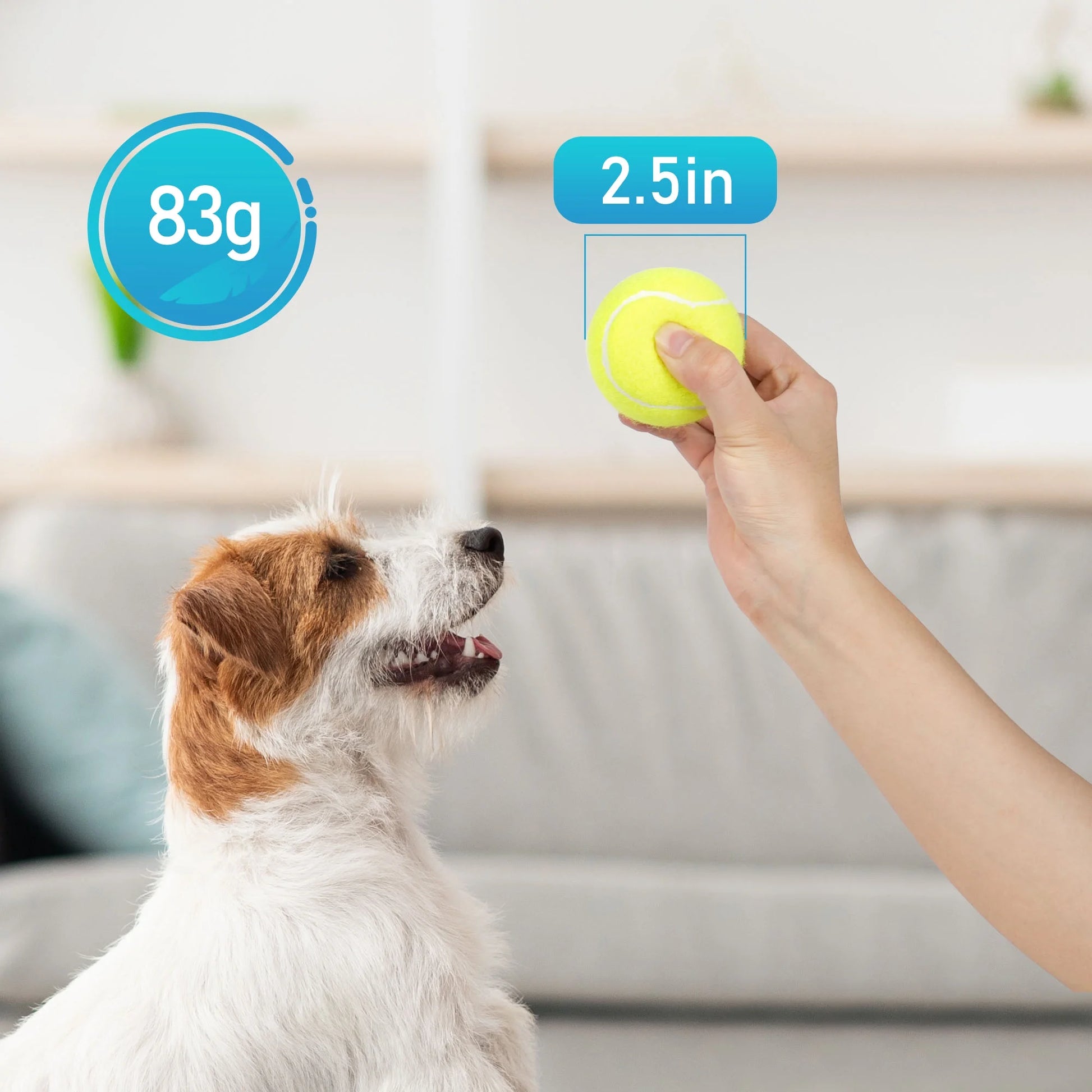 Tennis Balls for Dog, 3Pc High Elasticity Practice Tennis Ball for Pet Training, Fetching