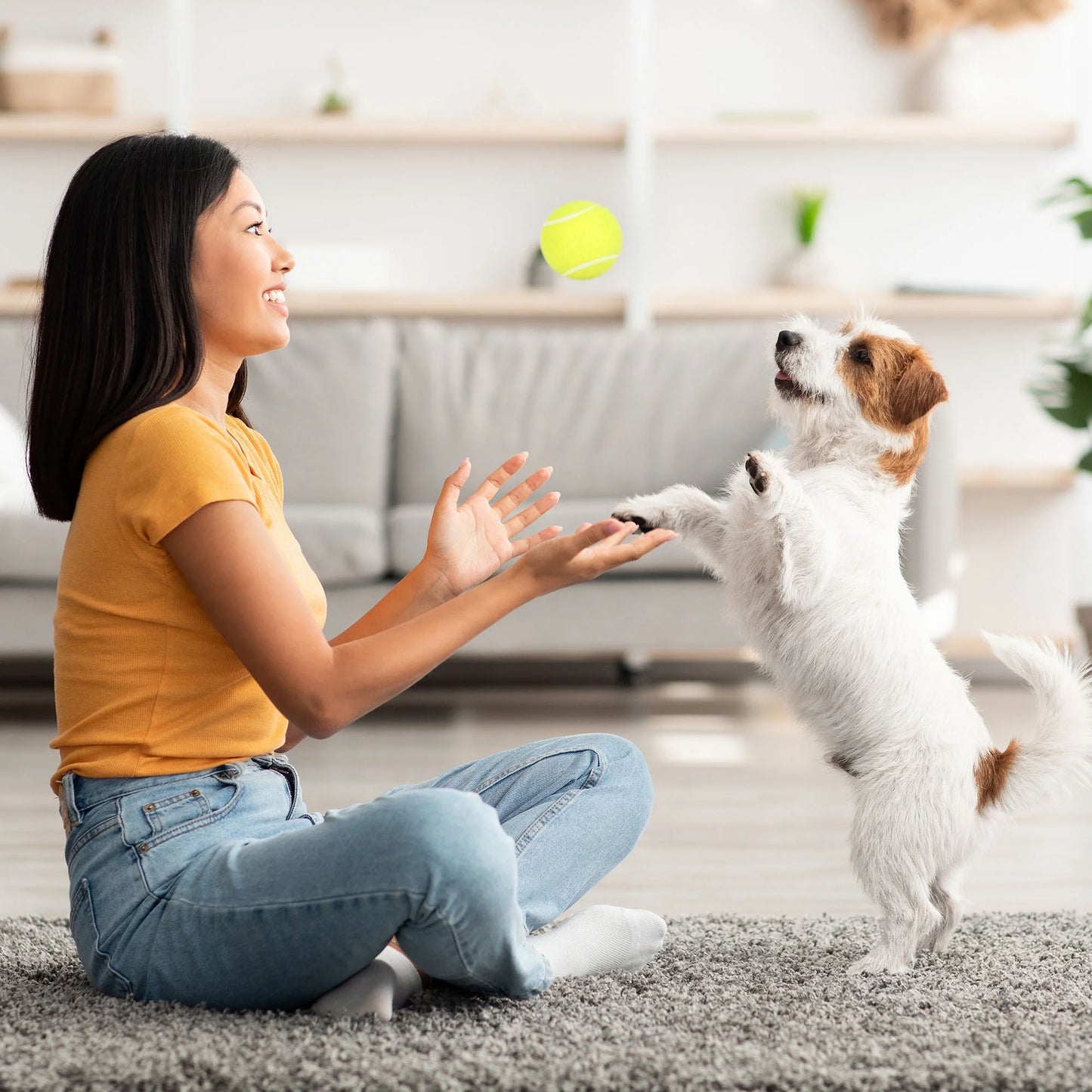 Tennis Balls for Dog, 3Pc High Elasticity Practice Tennis Ball for Pet Training, Fetching