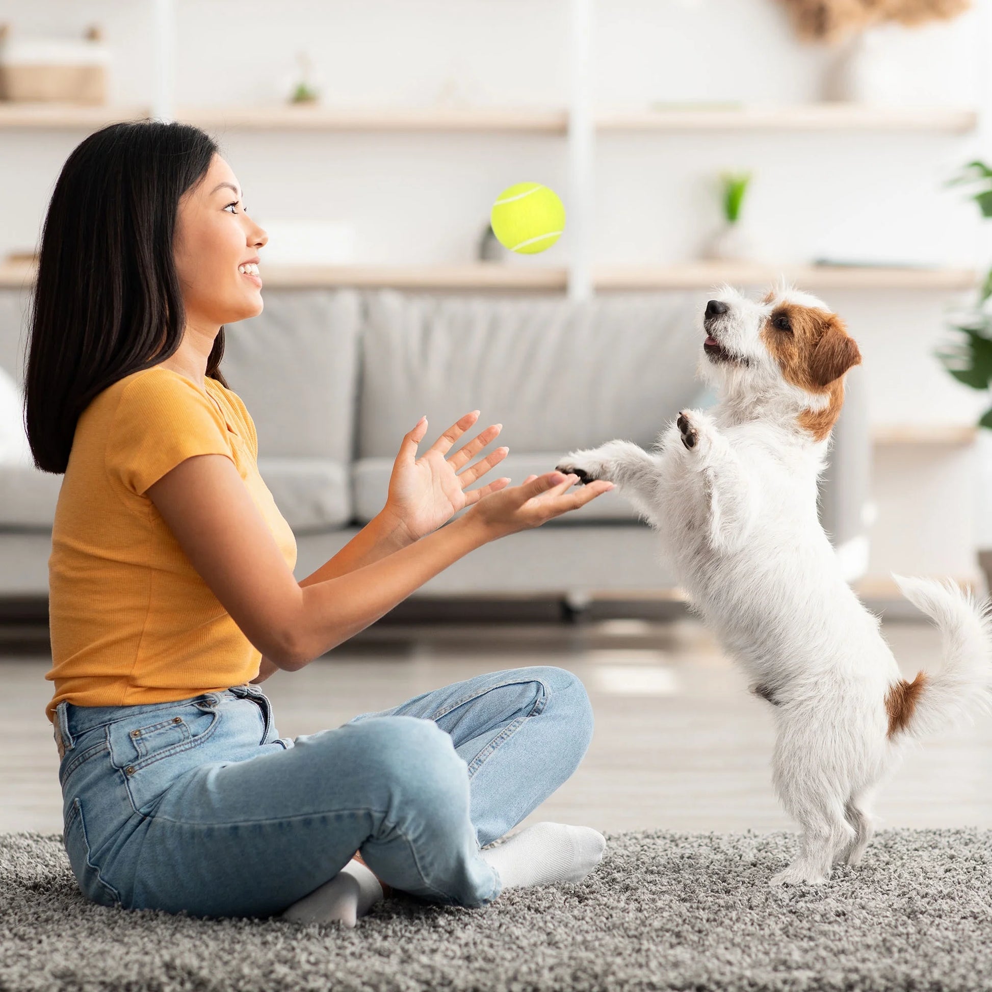 Tennis Balls for Dog, 3Pc High Elasticity Practice Tennis Ball for Pet Training, Fetching